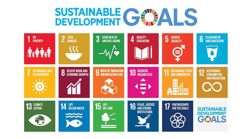 What are the Sustainable Development Goals?